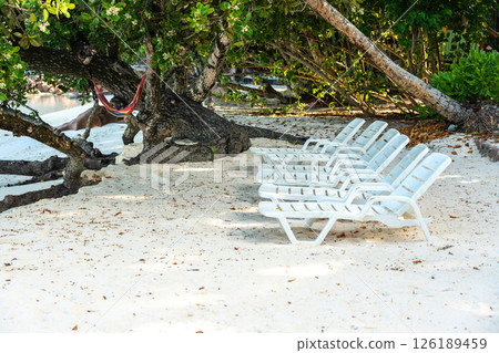 Anse Severe beach on La Digue island offers tropical sand with loungers under trees Anse Severe beach on La Digue island offers tropical sand with loungers under trees 126189459