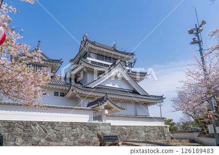Spring at Myokenzan Park: Toledo decorated with cherry blossoms Spring at Myokenzan Park: Toledo decorated with cherry blossoms 126189483