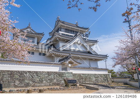 Spring at Myokenzan Park: Toledo decorated with cherry blossoms 126189486