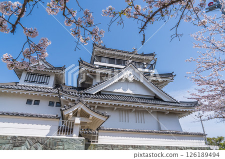 Spring at Myokenzan Park: Toledo decorated with cherry blossoms Spring at Myokenzan Park: Toledo decorated with cherry blossoms 126189494