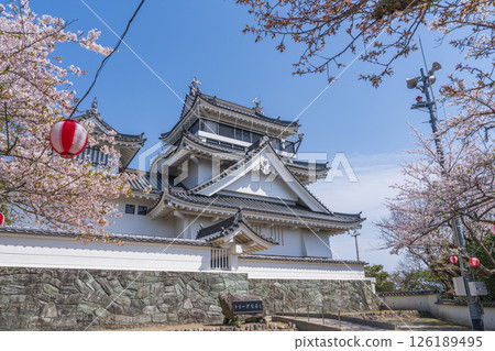 Spring at Myokenzan Park: Toledo decorated with cherry blossoms 126189495
