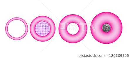 Set of pink 3D ring shapes with gradient fill and mosaic centers. Abstract geometric elements Set of pink 3D ring shapes with gradient fill and mosaic centers. Abstract geometric elements 126189596
