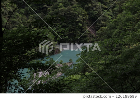 懸索橋的夢想 126189689
