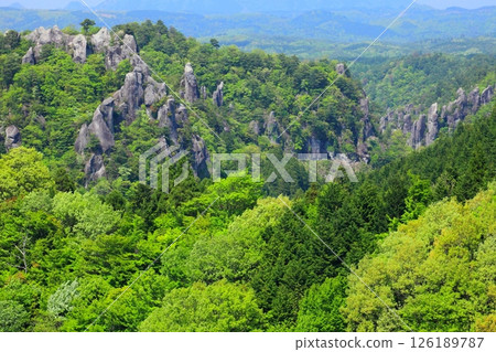 新鮮的綠色yakisaki 新鮮的綠色yakisaki 126189787