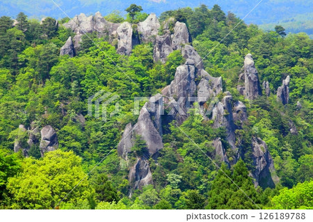 Fresh green yakisaki Fresh green yakisaki 126189788