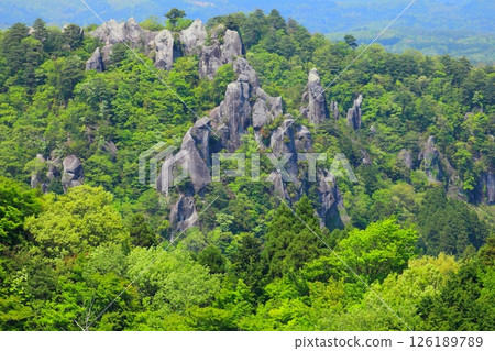 新鮮的綠色yakisaki 126189789