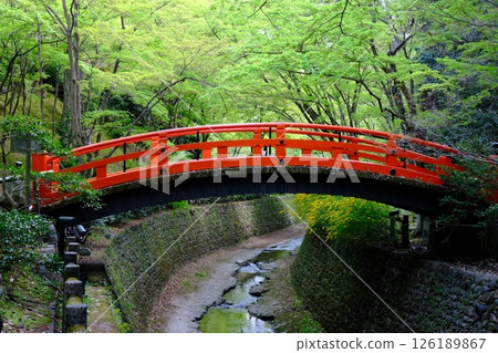 大土井和鶯橋的新綠 126189867