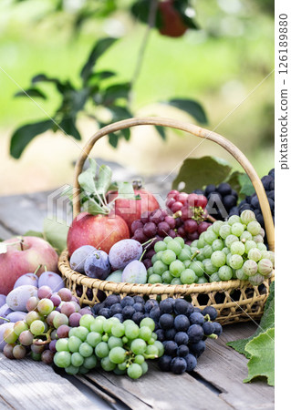 Autumn Fruit Picking Autumn Fruit Picking 126189880