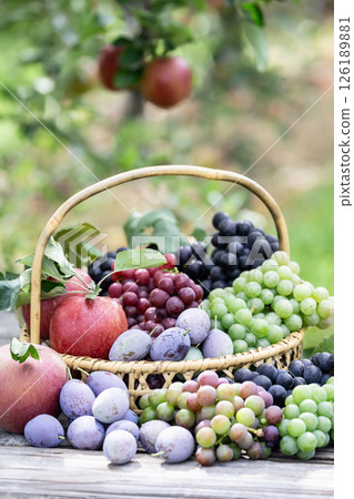 Autumn Fruit Picking Autumn Fruit Picking 126189881