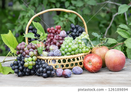 秋季水果採摘 126189894