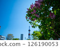 Sapporo Odori Park TV Tower Lilac Lilac 126190053