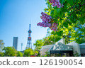 Sapporo Odori Park TV Tower Lilac Lilac 126190054