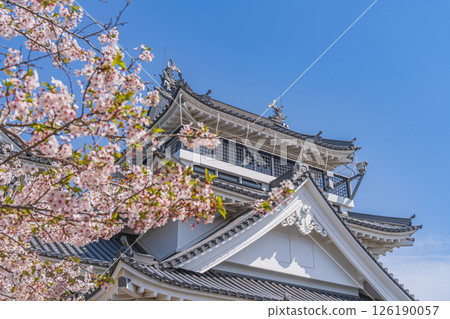 妙見山公園的春天：櫻花盛開的托萊多 126190057
