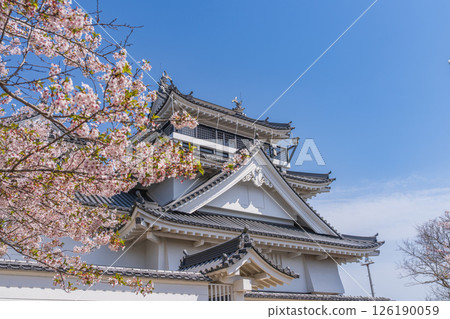 妙見山公園的春天：櫻花盛開的托萊多 126190059