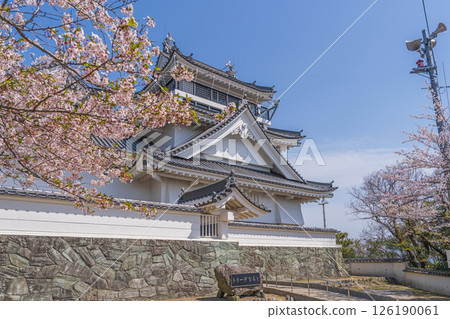 妙見山公園的春天:櫻花盛開的托萊多 妙見山公園的春天:櫻花盛開的托萊多 126190061
