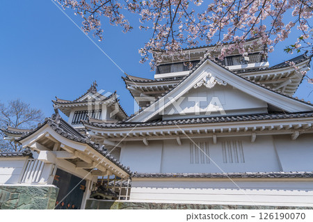 Spring at Myokenzan Park: Toledo decorated with cherry blossoms Spring at Myokenzan Park: Toledo decorated with cherry blossoms 126190070