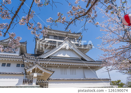 Spring at Myokenzan Park: Toledo decorated with cherry blossoms Spring at Myokenzan Park: Toledo decorated with cherry blossoms 126190074