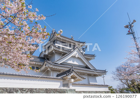 妙見山公園的春天：櫻花盛開的托萊多 126190077