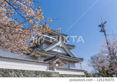 妙見山公園的春天：櫻花盛開的托萊多 126190078