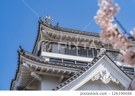 妙見山公園的春天：櫻花盛開的托萊多 126190086