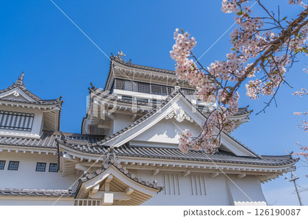 妙見山公園的春天：櫻花盛開的托萊多 126190087