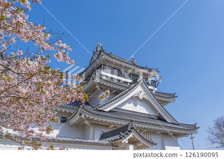 妙見山公園的春天：櫻花盛開的托萊多 126190095