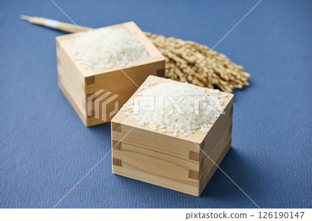 量箱裡的稻穗和米 126190147