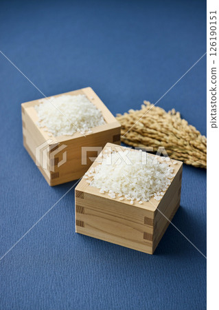 量箱裡的稻穗和米 126190151