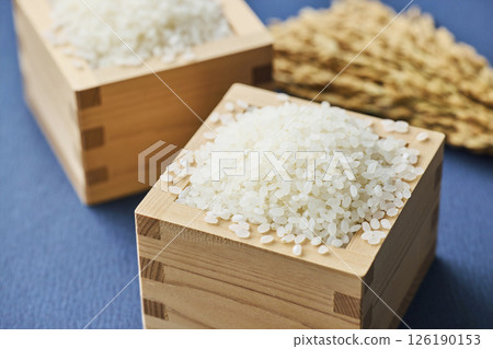 量箱裡的稻穗和米 126190153