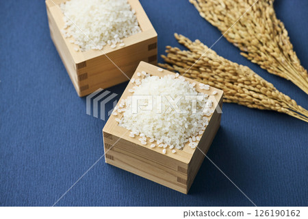 Ears of rice and rice in a measuring box Ears of rice and rice in a measuring box 126190162