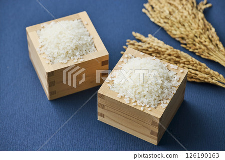 Ears of rice and rice in a measuring box Ears of rice and rice in a measuring box 126190163