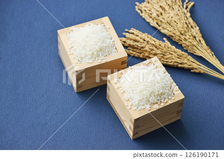 Ears of rice and rice in a measuring box 126190171