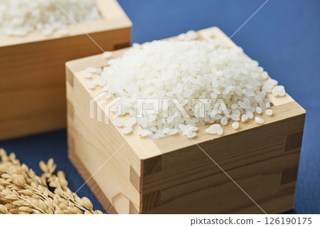 量箱裡的稻穗和米 126190175