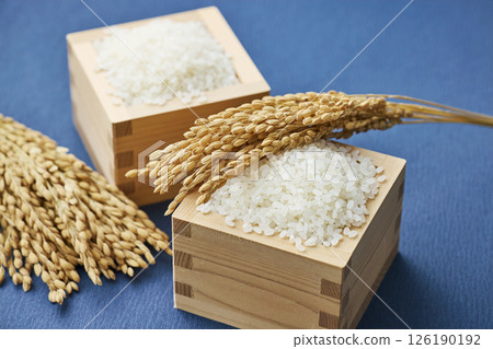 量箱裡的稻穗和米 126190192