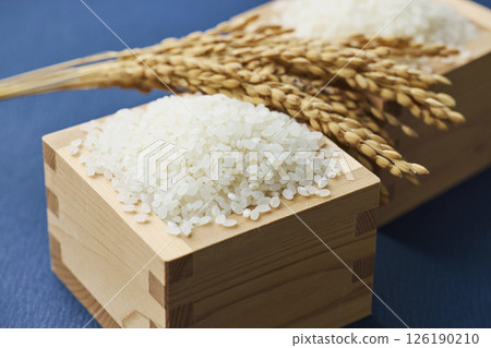 量箱裡的稻穗和米 126190210