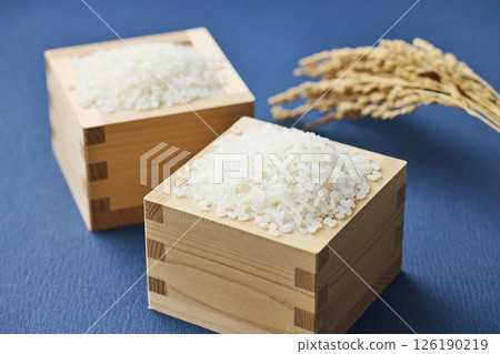 Ears of rice and rice in a measuring box Ears of rice and rice in a measuring box 126190219
