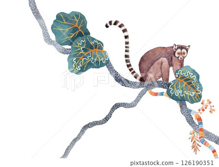 Lemur with Tropical Foliage and Striped Vines, Plant with Decorative Ornament hand drawn illustration. Lemur with Tropical Foliage and Striped Vines, Plant with Decorative Ornament hand drawn illustration. 126190351