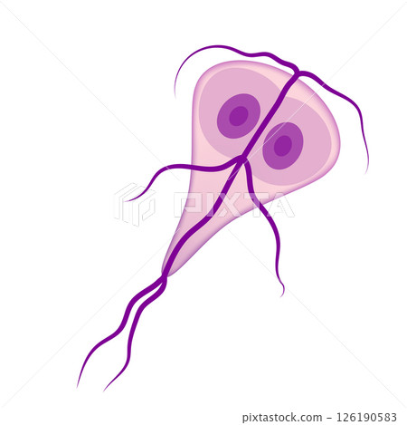 Giardia lamblia trophozoite, flagella and nuclei Giardia lamblia trophozoite, flagella and nuclei 126190583