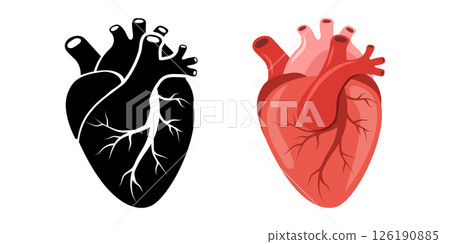 Human heart icon. Red and black Internal organ. Cardiology and anatomy concept. Medical Vector illustration in flat cartoon style Human heart icon. Red and black Internal organ. Cardiology and anatomy concept. Medical Vector illustration in flat cartoon style 126190885