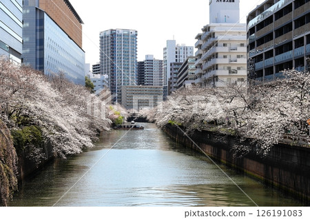 東京城市景觀：目黑川沿岸的櫻花 126191083