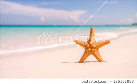 夏季海灘海星旅行旅行熱帶圖像框架背景桌布素材 夏季海灘海星旅行旅行熱帶圖像框架背景桌布素材 126191098