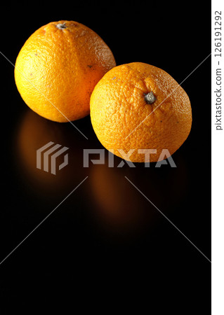 Small Shiranui fish photographed against a black background 126191292