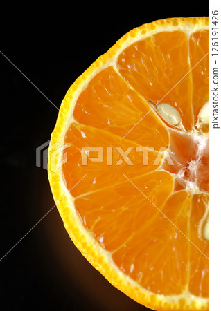 Small Shiranui fish photographed against a black background 126191426