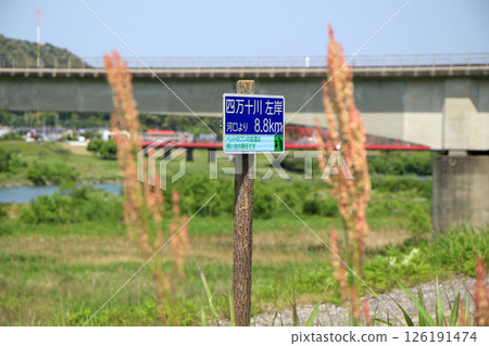 四萬十川河床上的河標 126191474