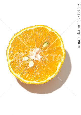 Small Shiranui fish photographed on a white background Small Shiranui fish photographed on a white background 126191486