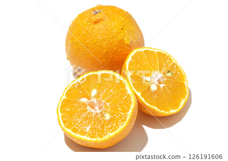 Small Shiranui fish photographed on a white background Small Shiranui fish photographed on a white background 126191606