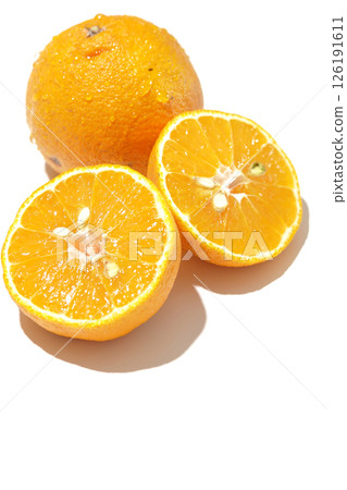 白色背景下拍攝的小 Shiranui 魚 126191611