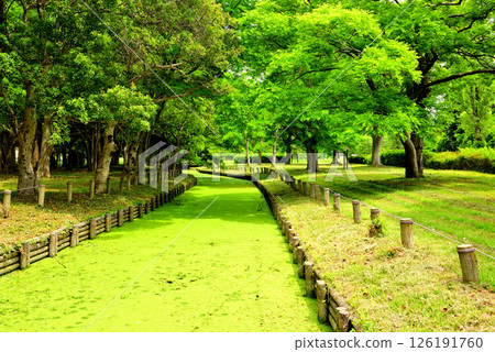 水元公園：美麗的青苔溪流 126191760