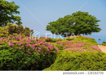 Ise-Shima Skyline Asakuma Peak Observatory A hill overlooking the entire Ise Bay Ise-Shima Skyline Asakuma Peak Observatory A hill overlooking the entire Ise Bay 126192730