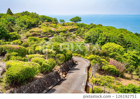 伊勢志摩天際線 淺隈山展望台 淺隈山自然步道 伊勢志摩天際線 淺隈山展望台 淺隈山自然步道 126192751
